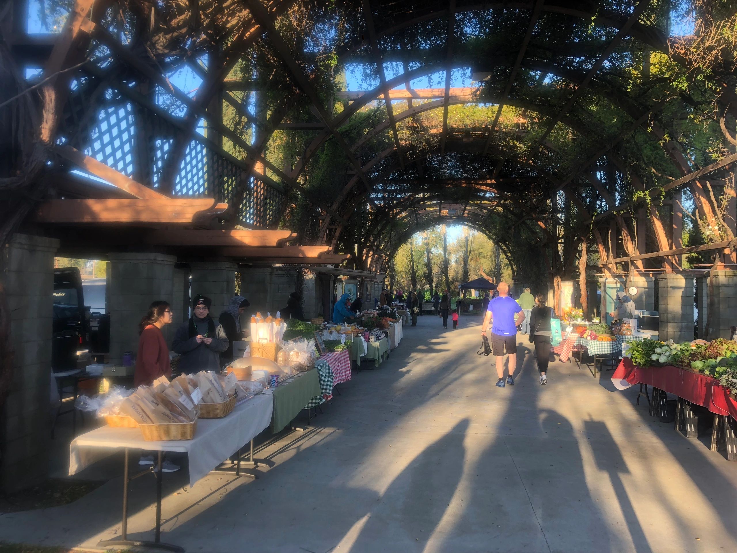 Shoppers Vineyard Clifton - h6rt8ae