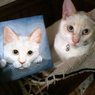 Flame point siamese D. K. Boljat original painting, Portland area of Oregon.