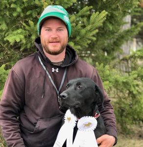 hunting dog with ribbons