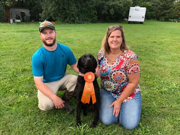 hunting gun dog with ribbon