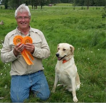 hunting gun dog yellow lab