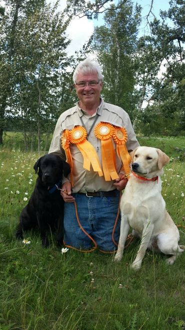 award winner hunting gun dog
