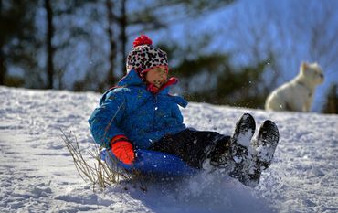 Snow
Winter
Toboggan
Sled
Jump
Fun
Dog
Hill