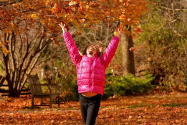 Fall
Leaves
Girl
Fun
Throw
Air
Fun
Daughter