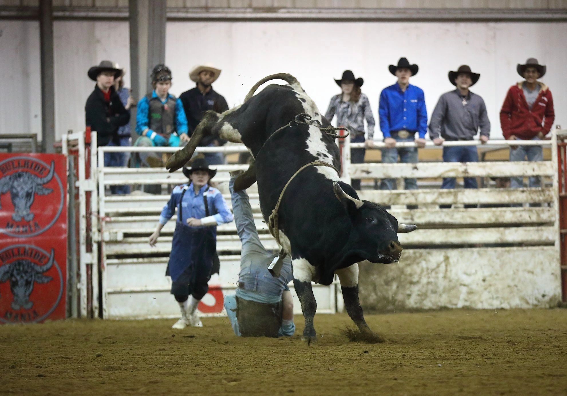 Sundance Arena Rodeo