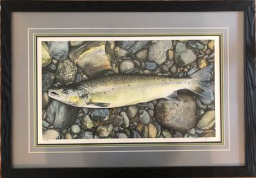 Framed art of a salmon laying on rocks,