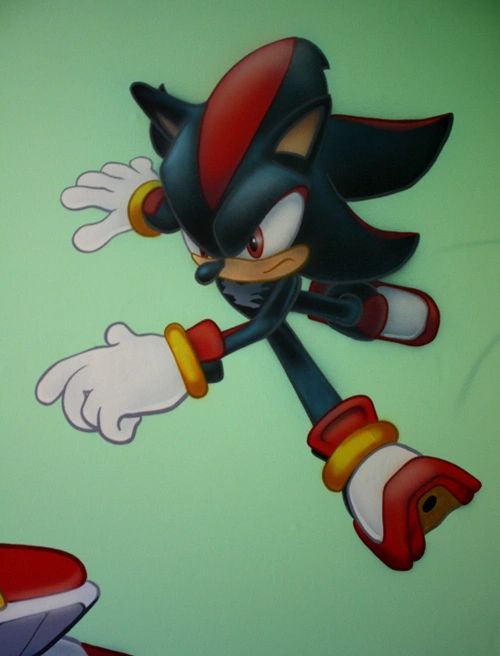 Sonic the Hedgehog wall art