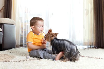 Little boy playing with puppy on clean rug