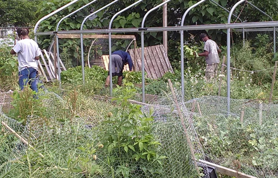 Garden to grow project to help the community learn how to grow fresh fruits and vegetables.