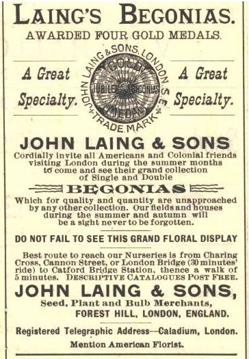 Laing Advert