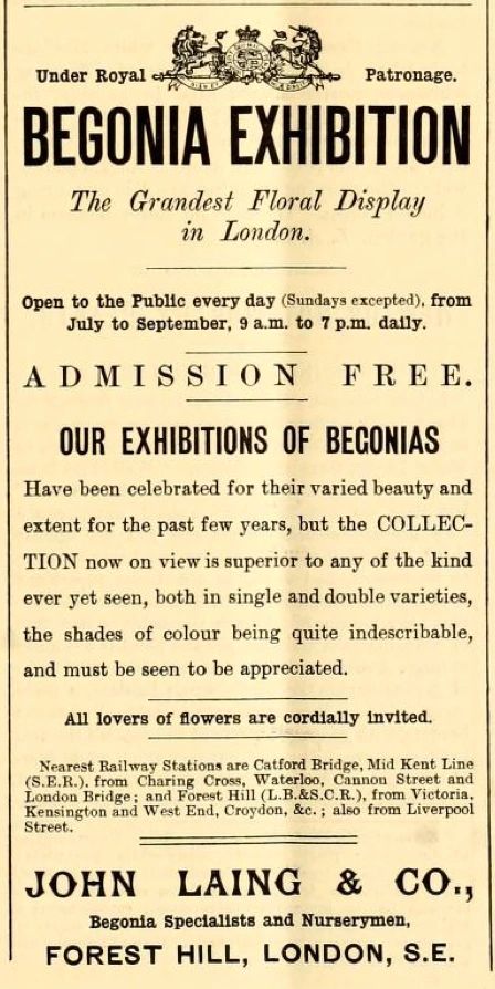 Begonia Exhibition
Image courtesy of Sydenham Town Forum.