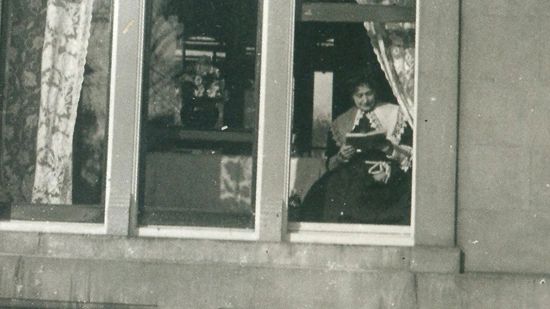 Detail of Madame Zola Reading.
