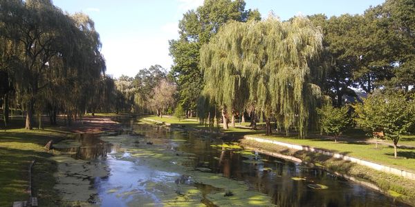 Formula 1 New York F1 NY F1 New York