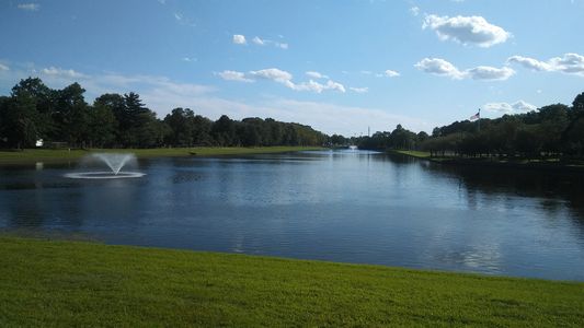 Formula 1 New York F1 NY F1 New York