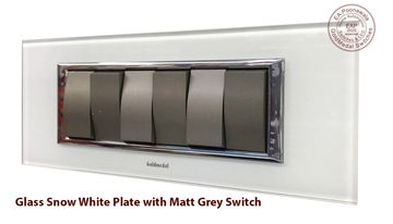 EA Poonawala Snow White with Grey Switch