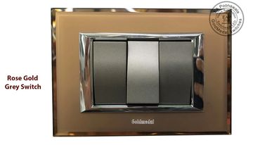 Goldmedal EA Poonawala Rose Gold wth Grey Switch