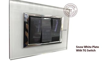 EA Poonawala Snow White with TG Switch