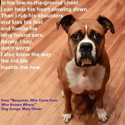 Trauma-Informed Spiritual Direction
Notice the Journey
Shannon Michael Pater
Miksang Photography