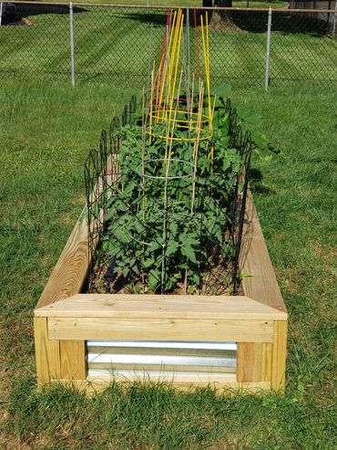 raised garden bed, victory garden, planter boxes, grow your own food, tomatoes, hugelkultur, garden