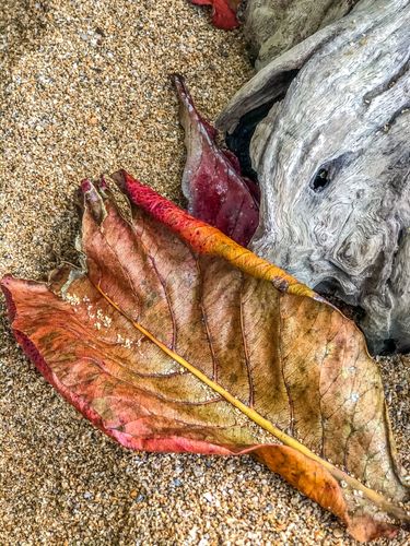 Catherine Housseau Photography
in San Diego