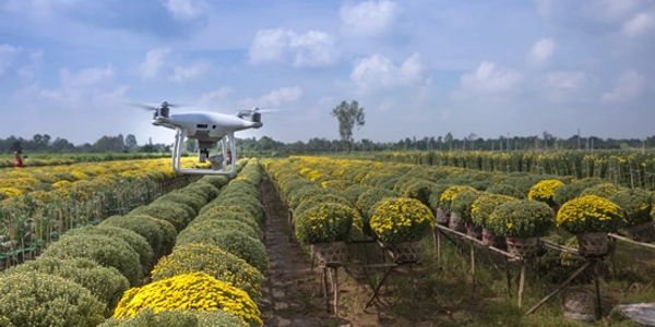 Agricultural finance fintech mapping and product development