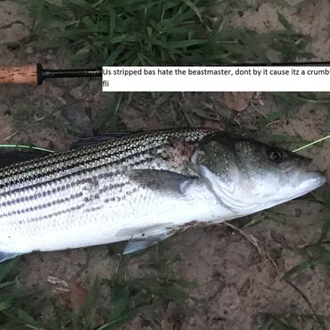 Another dissatisfied customer