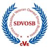SDVOSB Service Disabled Veteran Owned Small Business