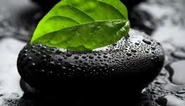 Natural Hormone Replacement