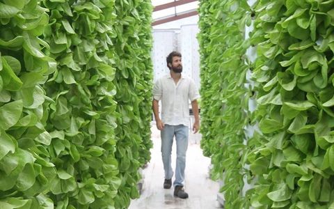 Travis Taliaferro Innovating Panama´s Agriculture