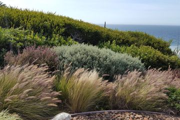Landscape maintenance in Malibu, CA