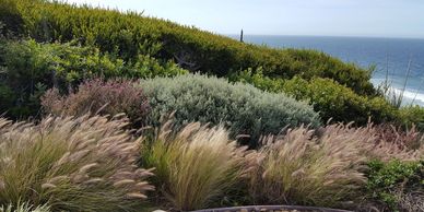 Landscape maintenance in Malibu, CA