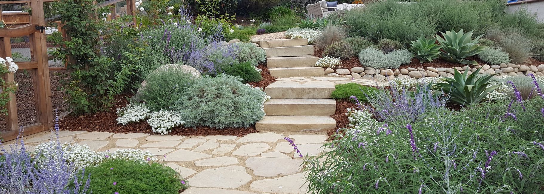 Drought tolerant landscaping using imported stone and water wise plants