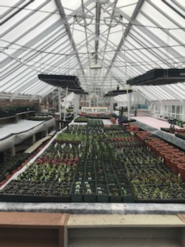 Underwood Greenhouse