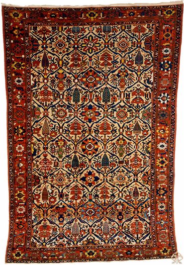 CK1229 Bakhtiari 7-4" x 10-6"