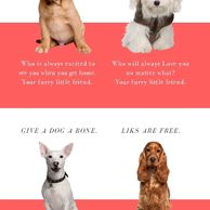 We Love our Furry Paws