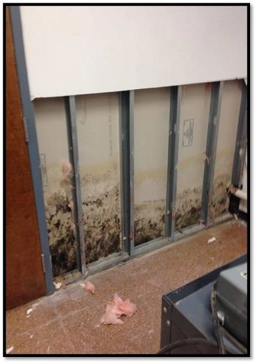 mold found behind wall at university and EDS provided mold remediation services