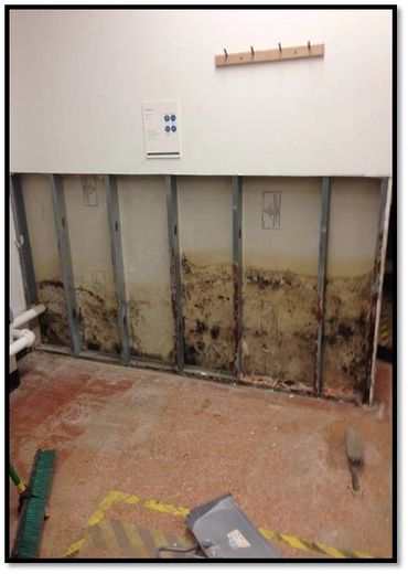 repair and restoration done by EDS for mold remediation at University