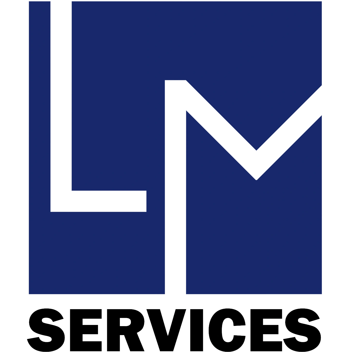 LM Services your consulting partner 