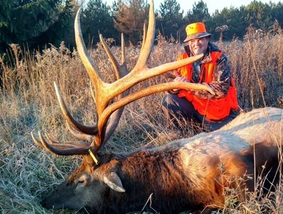 Elk hunter and PA bull elk