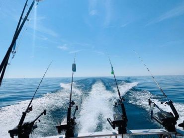 Lake Michigan salmon charter