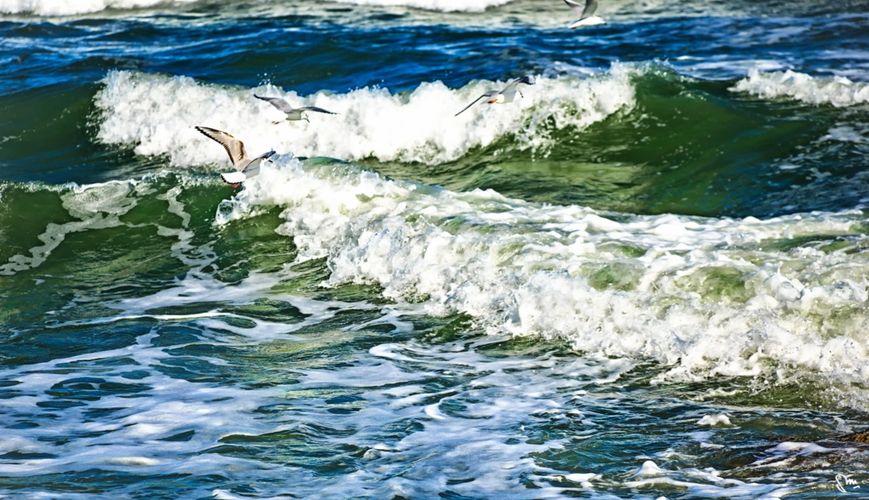 Wild morning on the Atlantic Ocean off South Carolina