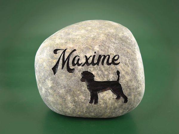 Engraved river rock pet memorial.