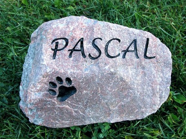 Engraved river rock pet memorial.