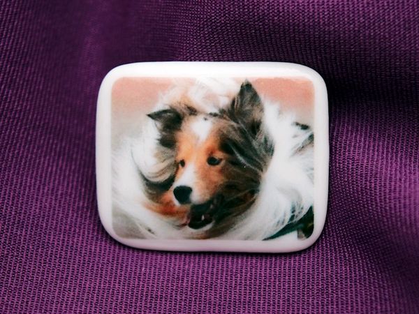 Dog portrait  on Italian porcelain.