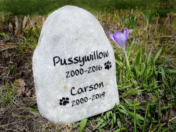 Engraved river rock pet memorial.