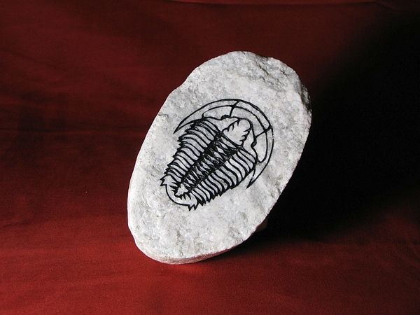 Trilobite engraved onto flat quartzite river rock.