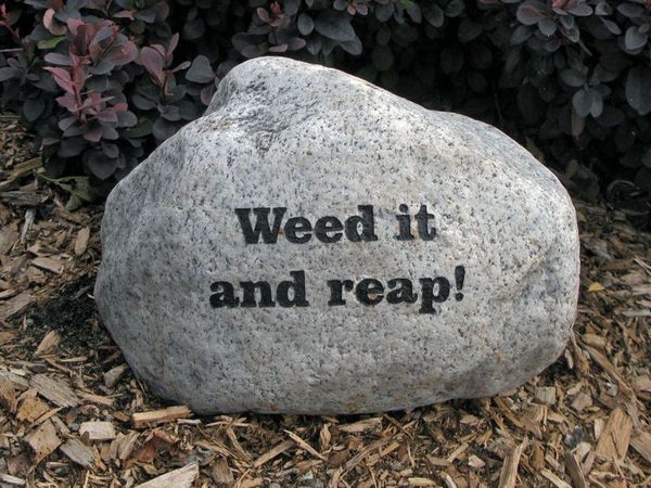 Weed it and reap engraved garden stone