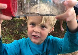 boy holding jar with lizard