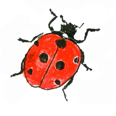 ladybird ink mono print the shaw