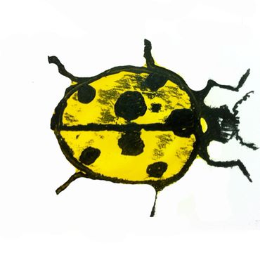 weird bug ink mono print the shaw